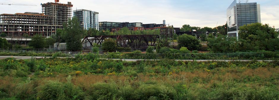 field of tall grasses and perennials with bike path beyond. Metal railway bridge and industrial buildings beyond.