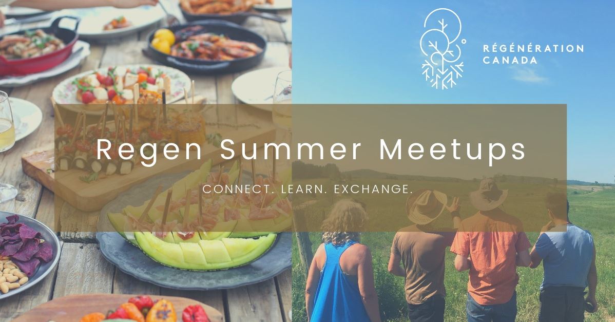 Regen Summer Meetups. Connect, Learn, Exchange