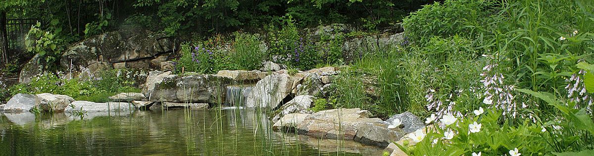 Swim pond with waterfall and native plants
